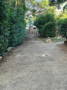 Giardino di Cozy studio in amazing Manatí with AC, WiFi, Pool