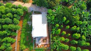 an overhead view of a house in the middle of a forest at Hang Camping 2 in An Ninh