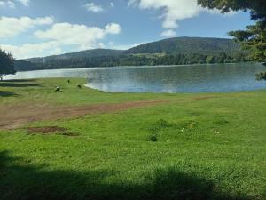 a grassy field next to a body of water at Hotel familiar los Fresnos in Santiago Oxtempan