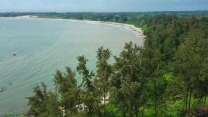 an aerial view of a beach with trees and water at Hang Camping 2 in An Ninh