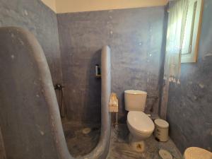 a bathroom with a toilet and a shower at Phaedra Villa Kythnos in Kithnos +26 photos