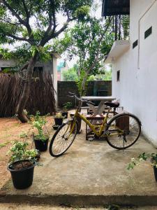 Jízda na kole v ubytování Trinco Be Cool Hostel nebo okolí
