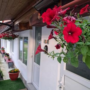 a front door with red flowers on it at Apartament rustic, curte aproape de Castelul Bran in Bran +9 photos