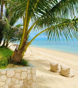 Příroda nedaleko vily