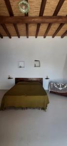 a bedroom with a green bed and a wooden ceiling at L'Olivuzza in Alicudi