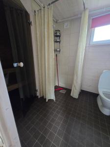 a bathroom with a toilet and a shower curtain at Palusalu puhkemaja in Haapsalu +8 photos