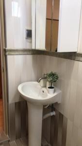un bagno con lavandino e pianta in vaso di Manaam Residence a Hoarafushi