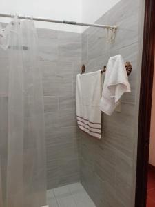 a bathroom with a shower with white towels at Casa de la Cúpula - Free Parking - Sleeps Eight in San Miguel Dueñas