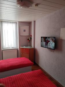TV a/nebo společenská místnost v ubytování Hessisches Haus