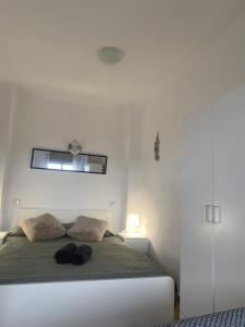 1 dormitorio blanco con 1 cama con 2 almohadas en Apartamento en frente al mar de Empuriabrava, en Empuriabrava