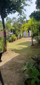 Κήπος έξω από το Hill house mirissa