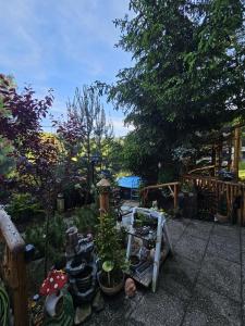 Zahrada ubytování Chata u rybníka - Chrastná