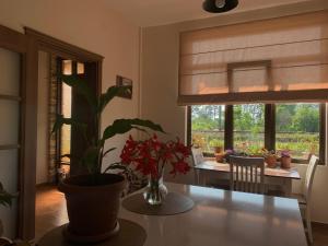 a dining room with a table with a plant and a window at Under the Buknari Sun in Kobuleti