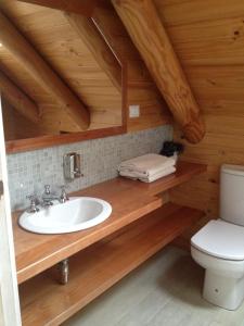 uma casa de banho com um lavatório e um WC em B&B de German em Pucón