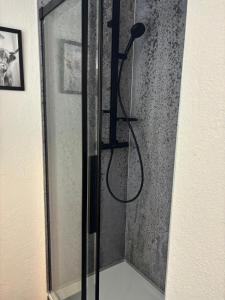 a shower with a shower head in a bathroom at Altstadt Quartier Hallenberg - Modernes Ferienappartment in Hallenberg +16 photos