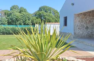 eine Pflanze in einem Garten neben einem Gebäude in der Unterkunft Casa Marcucaña el Palmar in El Palmar