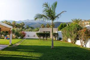 a palm tree in the yard of a house at Vergina Apartments & Suites in Malia