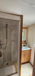 un bagno con doccia e lavandino di Coin de Paradis à Hourtin a Hourtin