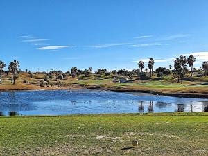 a pond of water on a golf course with palm trees at Villa Bienvida luxury and well-being by OYOOSTAYS in Orihuela