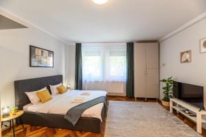 een slaapkamer met een groot bed en een tv bij Studio Modern 10 in Braşov