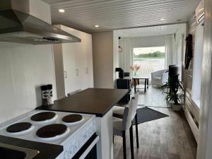 Η κουζίνα ή μικρή κουζίνα στο Villa Laituri Enäjärven rannalla +11 φωτογραφίες