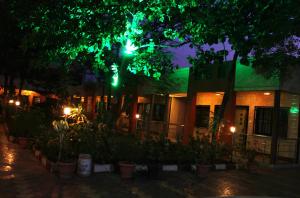 Zahrada ubytování Sai Atithi Resort