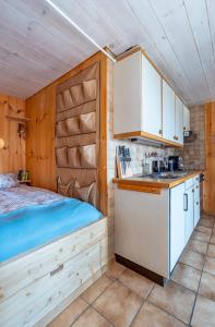 a bedroom with a bed and a kitchen in a room at Mountainview Fireplace & Garden Bbq in Axalp