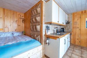a kitchen with a bed and a sink in a room at Mountainview Fireplace & Garden Bbq in Axalp +23 photos