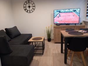 a living room with a couch and a tv at Baza Wypadowa 2 in Lubań