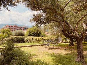 Peisaj natural din apropierea acestui apartament