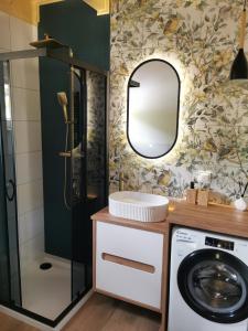 a bathroom with a washing machine and a mirror at Domek Las nad jeziorem in Bożepole Królewskie +17 photos