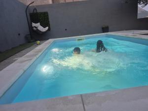 Hostia v ubytovaní Luxury apartment Duće with private pool