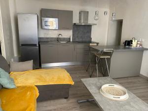 a kitchen with a refrigerator and a counter top at T2 Sartène centre ville in Portigliolo +6 photos