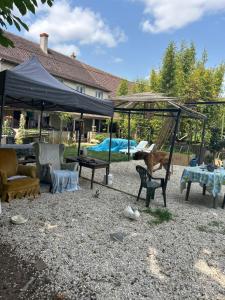 a dog sitting in a chair under a tent at Bambouland in Juranville