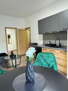 Kuchyň nebo kuchyňský kout v ubytování Apartmani Popivoda