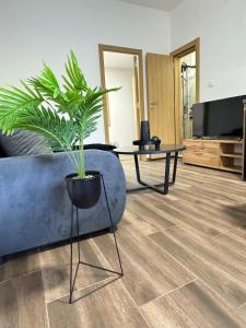 TV a/nebo společenská místnost v ubytování Apartmani Popivoda