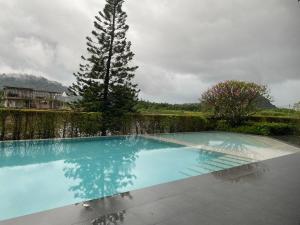 a large blue swimming pool with a tree in the background at PhuketMadameBuppa Siwali Village in Ban Phlu Yai