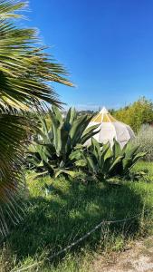 Zahrada ubytování Rêver - Glamping and Villa