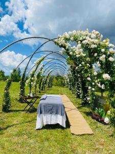 Zahrada ubytování Rêver - Glamping and Villa