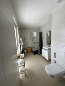 CollombeyにあるAlp Art Hotel Montheyのバスルーム(トイレ、洗面台付)