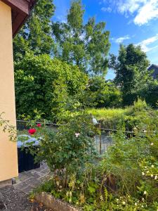 Imagen de la galería de Aabach Stay, en Niederlenz