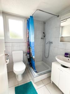 a bathroom with a shower and a toilet and a sink at Aabach Stay in Niederlenz
