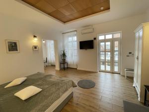 a bedroom with a large bed and a television at Princo Apartments in Hunedoara