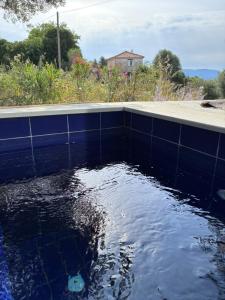 a pool of water next to a house at FinIQ Boutiq Studios in Foiníki