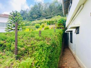 a walkway next to a white building with a fence at Away From Home - 1 - Home Stay Ooty, Entire 3BHK Villa in Ooty +10 photos
