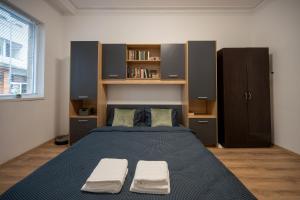 a bedroom with a large bed and a book shelf at Martin's Treasure TOP CENTER in Sofia