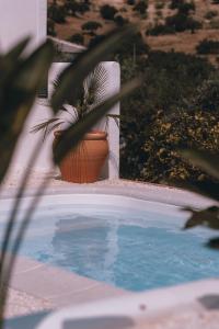 a potted plant sitting next to a swimming pool at Villa Bellido in Alora