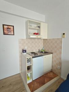 Küche/Küchenzeile in der Unterkunft Apartments Miljas