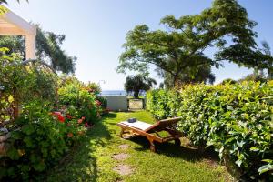 a wooden bench in a garden with bushes at Casa Solea in Barbati +4 photos