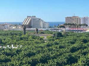 a view of a city with buildings and trees at Apartamento en Almuñécar con piscina comunitaria in Almuñécar